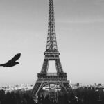 imgi 12 horizon silhouette bird black and white architecture people 964461 pxhere.com 1