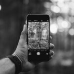 imgi 28 iphone smartphone hand tree forest light 15166 pxhere.com